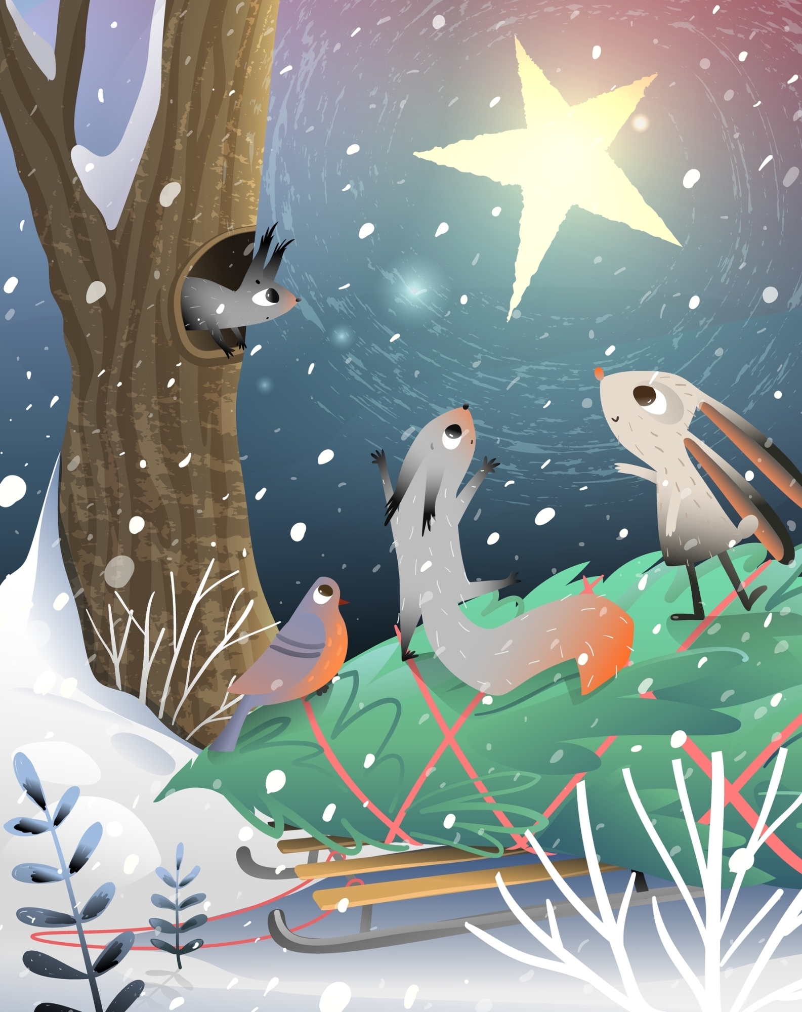 Histoires du samedi | Là haut les étoiles content... l'autre Noël