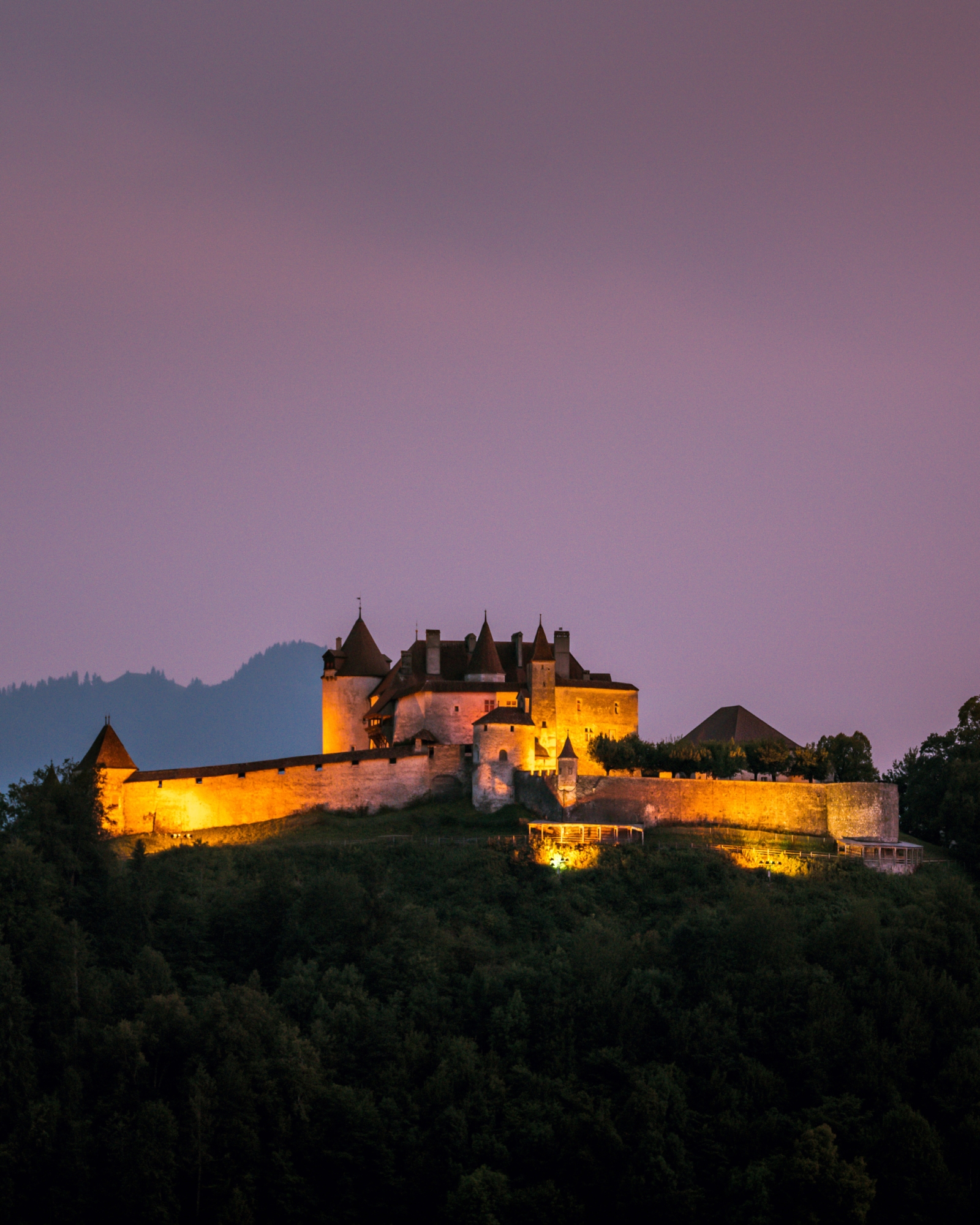 Nuit des Musées | À vos jumelles au Château de Gruyères
