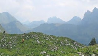 "Les Morteys, joyau de la Gruyère