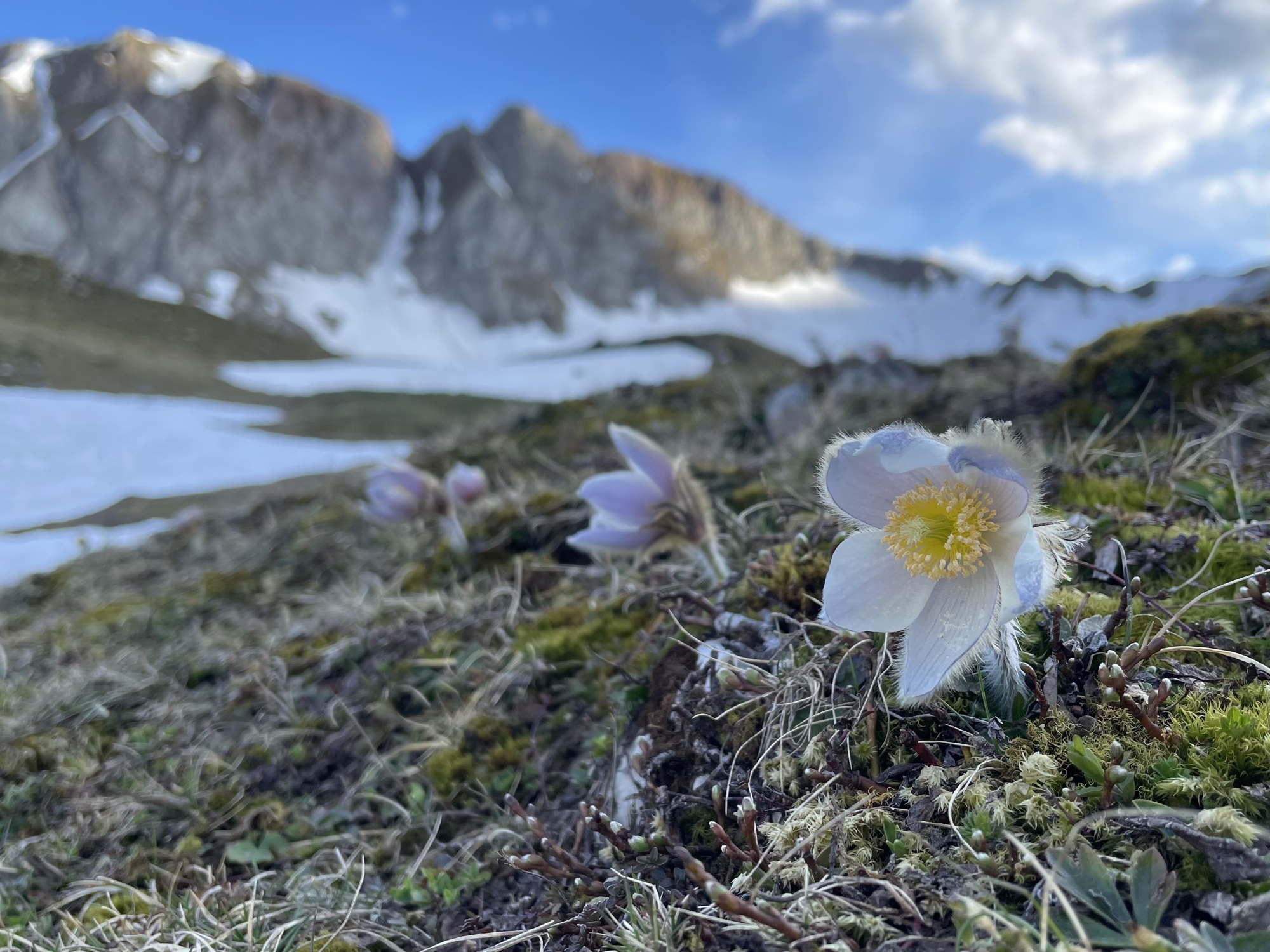 Partez à la découverte des secrets bien gardés du Vanil Noir